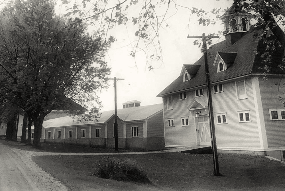 A black and white image of a serene, tree-lined road leading to a large rustic building with a bell tower.