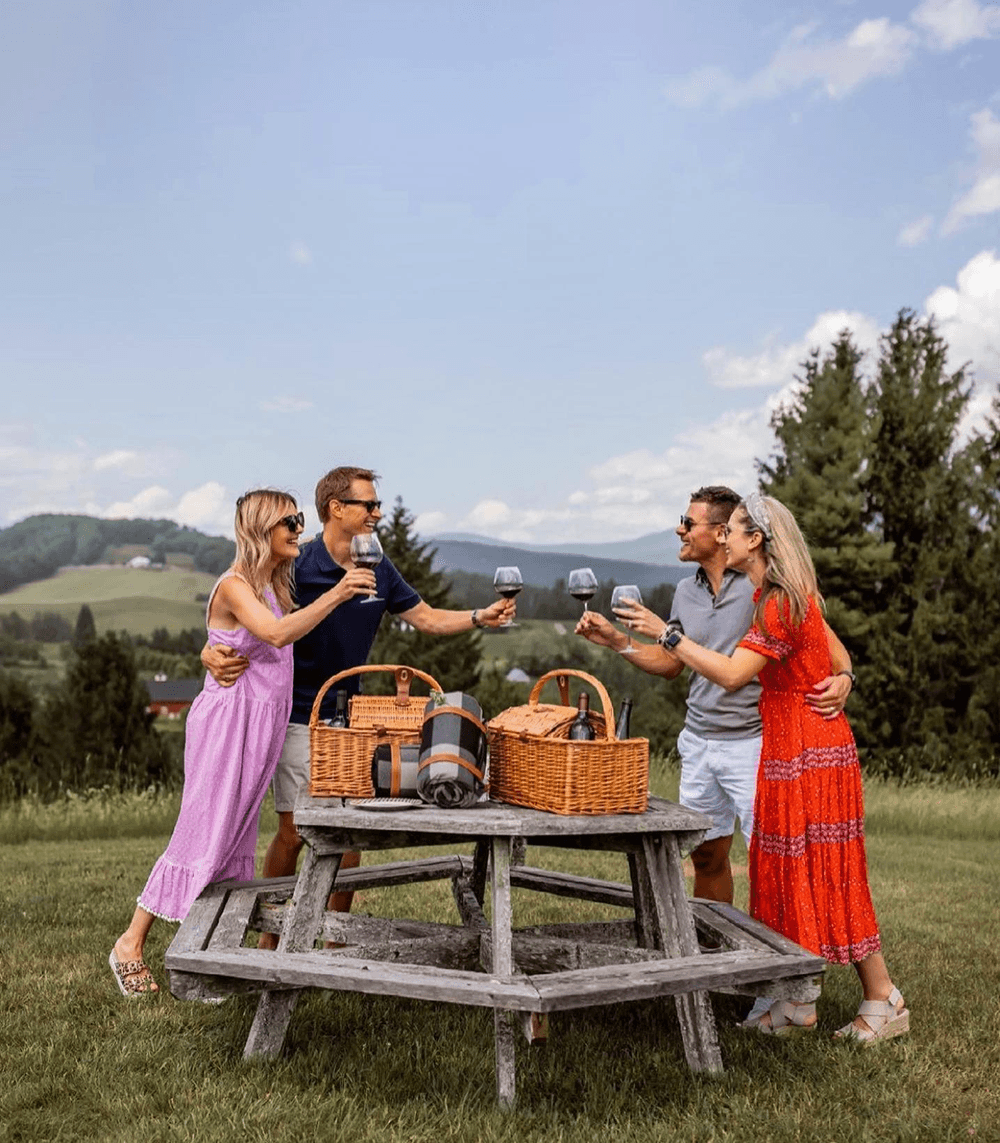 Four friends enjoy a toast with glasses of wine at an outdoor picnic setting.