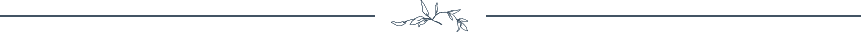 A decorative horizontal line with an intricate design.