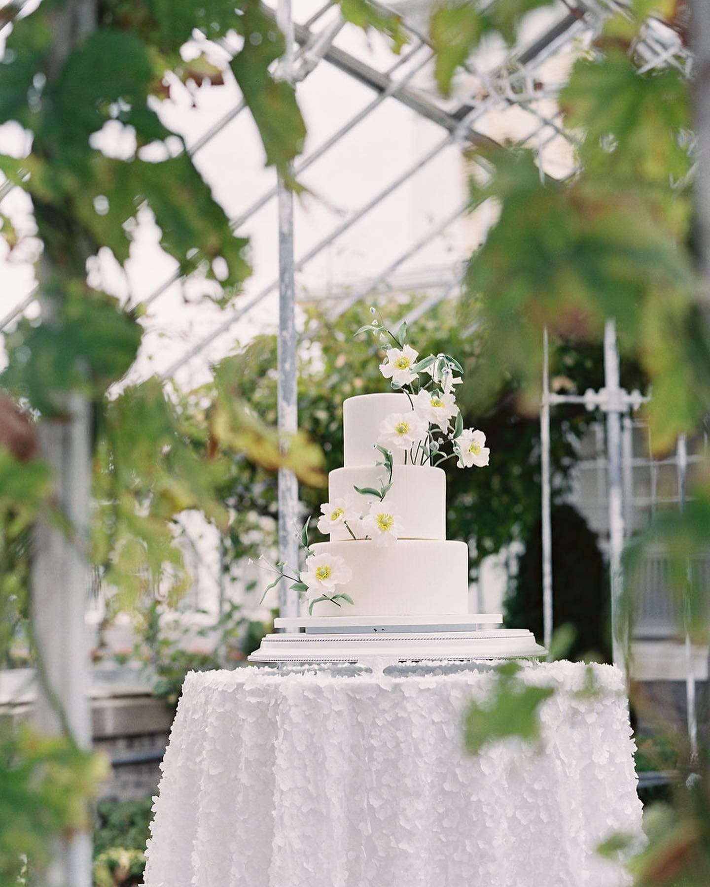 A three-tiered wedding cake adorned with white flowers sits on a textured tablecloth in a greenhouse setting.