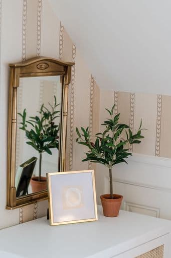 A gold-framed mirror reflects a small potted plant and a white framed artwork on a tabletop against a patterned wall.